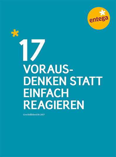 PDF Geschäftsbericht 2017 kurz