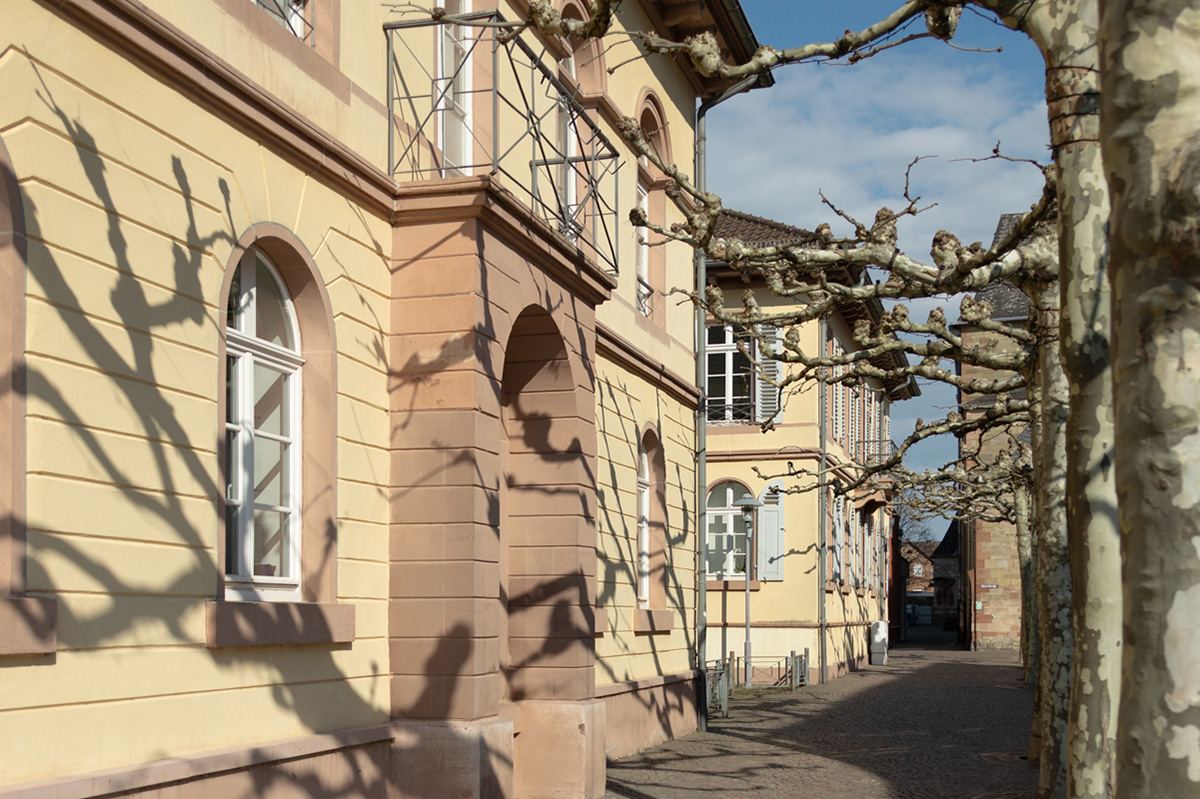 Historisches Gebäude mit Rundbogenfenstern und Platanenallee an einem sonnigen Tag.